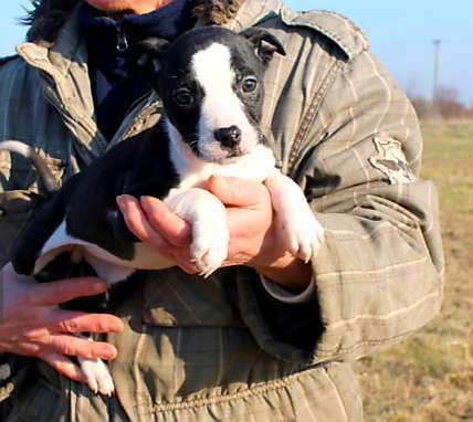 Foto Challenge 3-Beitrag-Bild