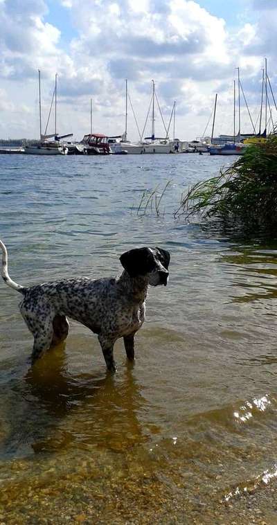 Foto Challenge - BEENDET - bitte aktuelle Challenge nutzen-Beitrag-Bild