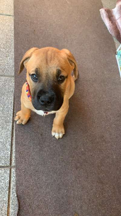 Erstes Bild-Beitrag-Bild