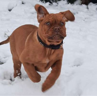 Dogorama Photo Challenge - Es wird nochmal kalt!-Beitrag-Bild