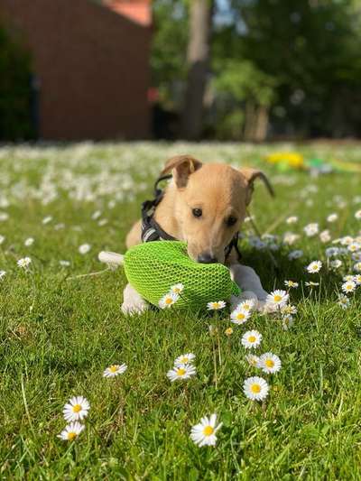 Fotowettbewerb zum Thema "Sonne"-Beitrag-Bild
