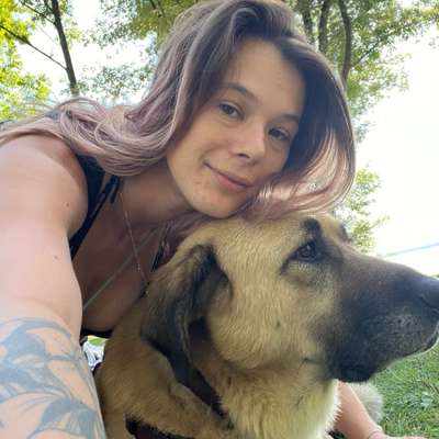 Hundetreffen-Gassi gehen-Bild