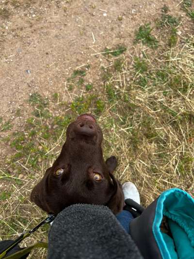 Handy-Foto Challange Nr. 10-Beitrag-Bild