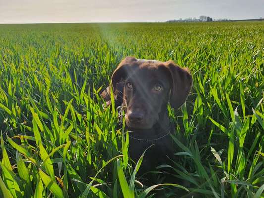 Lieblingsbild-Beitrag-Bild