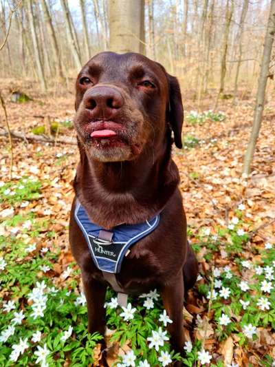 Foto Challenge Nr. 79-Beitrag-Bild