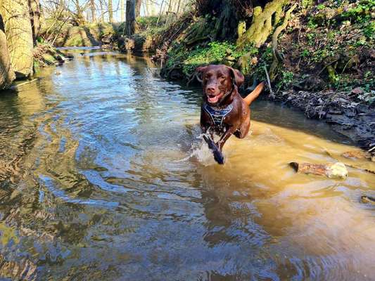 Fotowettbewerb Natur-Beitrag-Bild