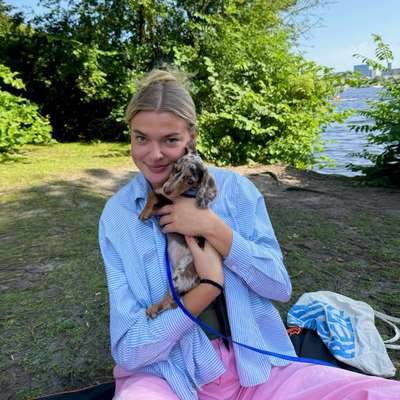 Hundetreffen-Welpentreffen für Motti-Bild