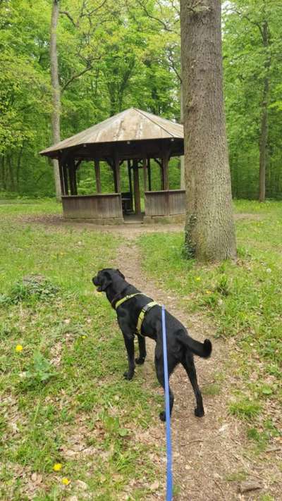 Foto Challenge Nr. 79-Beitrag-Bild