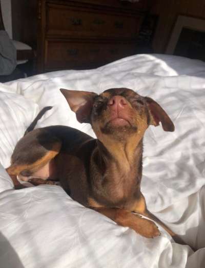 Lustige Bilder-Beitrag-Bild