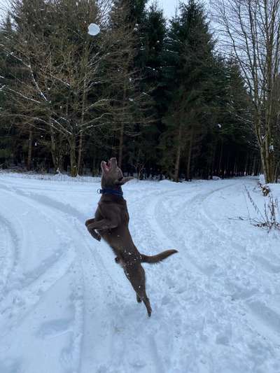 Lieblingsbild-Beitrag-Bild