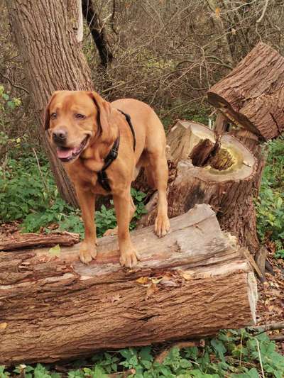 Fotochallenge Nr. 56 - geliebte Senioren-Beitrag-Bild