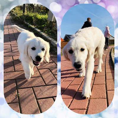 28. Handy-Fotochallenge - Damals und heute-Beitrag-Bild