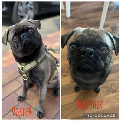 Tierärzte-Dirk Schrader-Bild