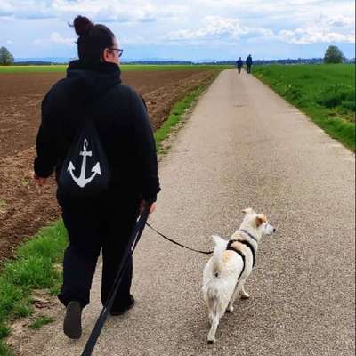 Hundetreffen-Rennen und springen , im Matsch oder auf der Wiese ? Dann sind wir richtig ❤️🍀-Profilbild