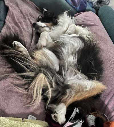 Foto Challenge - Zeigt her eure Bäuche-Beitrag-Bild