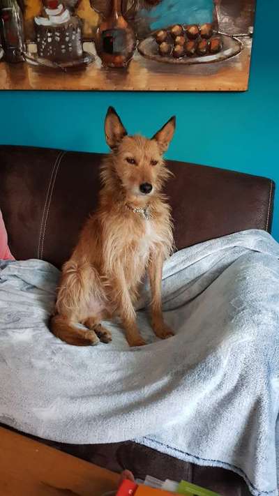 eure Spitznamen für die Vierbeiner-Beitrag-Bild