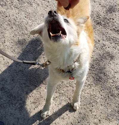 Lieblingsbild :D-Beitrag-Bild