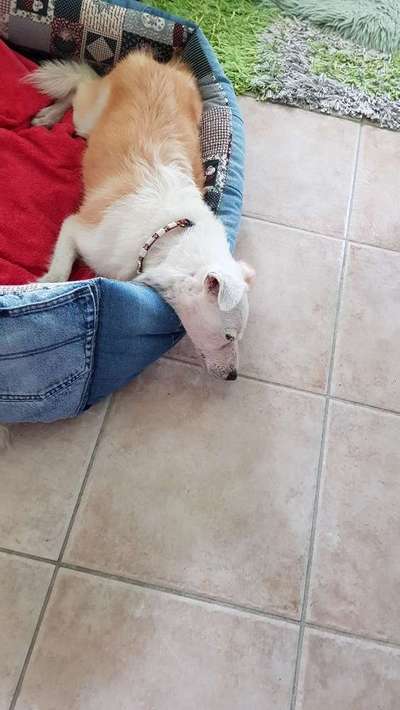 Die unbequemsten und lustigsten Schlafpositionen-Beitrag-Bild