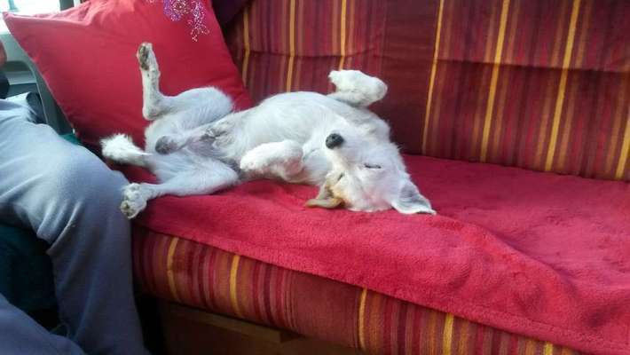 Die unbequemsten und lustigsten Schlafpositionen-Beitrag-Bild