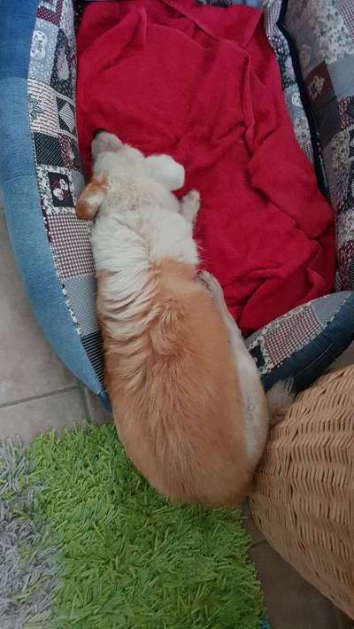 Die unbequemsten und lustigsten Schlafpositionen-Beitrag-Bild