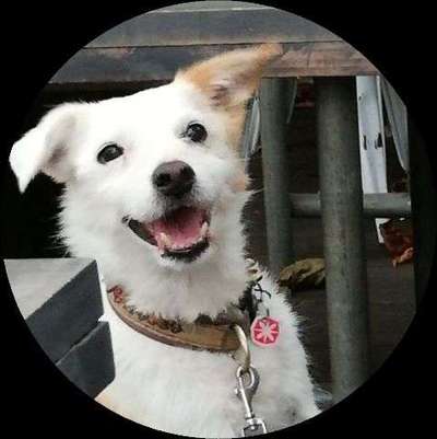 Immer lächeln !-Beitrag-Bild