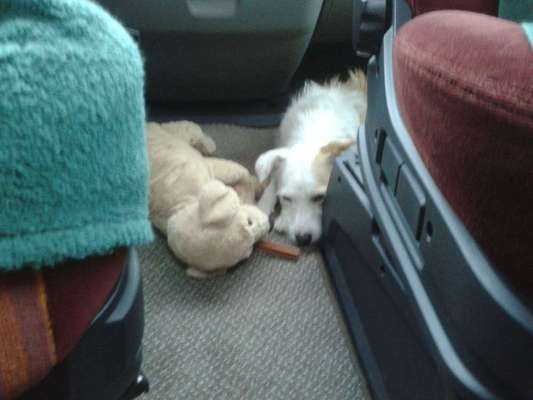 Die unbequemsten und lustigsten Schlafpositionen-Beitrag-Bild