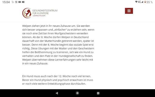 Unkontrollierter Hund-Beitrag-Bild