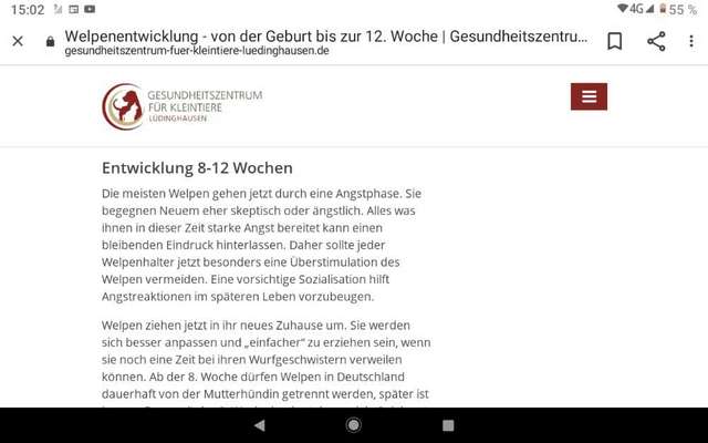 Unkontrollierter Hund-Beitrag-Bild