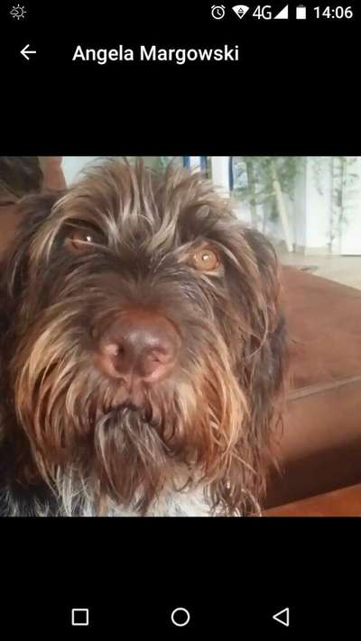 Seltene Rassen!-Beitrag-Bild