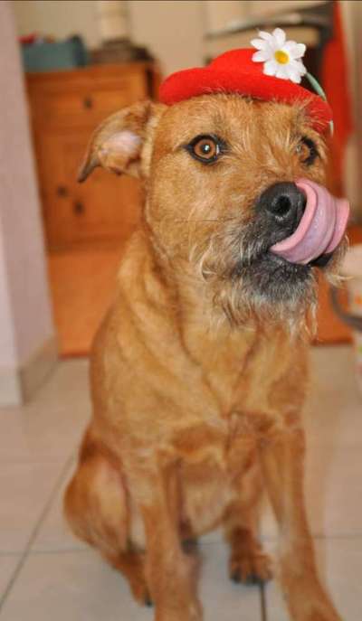 Lieblingsbild :D-Beitrag-Bild