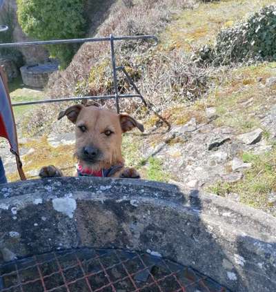 Lieblingsbild :D-Beitrag-Bild