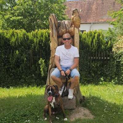 Hundetreffen-Spielen und Laufen rund um Hof-Bild