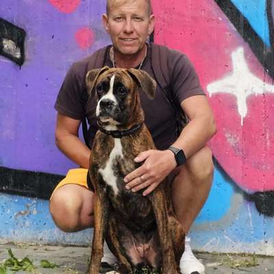 Hundetreffen-Spielen und Laufen rund um Hof