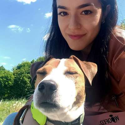 Hundetreffen-Reaktive Hund such Ruhiges Trainingspartner