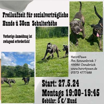 Hundeauslaufgebiet-Hero4Paws
Hundeschule Katja Heldt-Bild