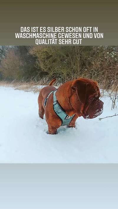 Geschirr Empfehlung-Beitrag-Bild