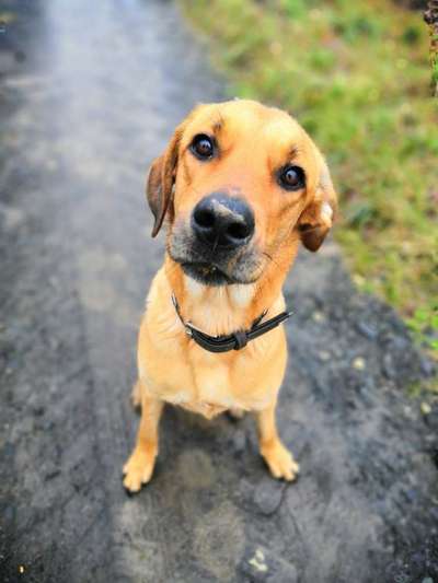 Fotochallange Nr. 57     PORTRÄT.   Beendet!!!!!!!!-Beitrag-Bild