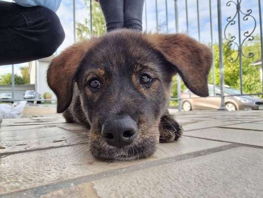 Fotochallange Nr. 57     PORTRÄT.   Beendet!!!!!!!!-Beitrag-Bild