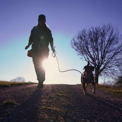 Hundetreffen-Gemeinsame Gassirunden, Spielen und Training