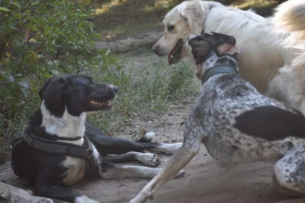 65. Handy Foto Challange                     "Ich kann nicht ohne..."-Beitrag-Bild