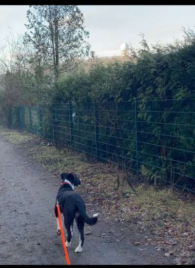 151. Photo Challenge: Sehenswürdigkeiten-Beitrag-Bild