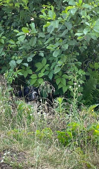 80. Foto  Challenge - Versteckt/ in einer Höhle-Beitrag-Bild