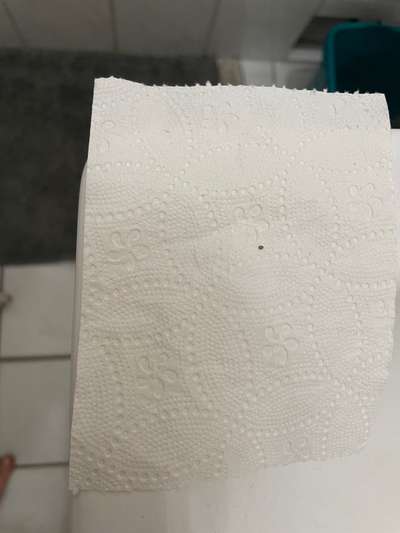 Kleine dunkle Viecher am Ohrrand-Beitrag-Bild