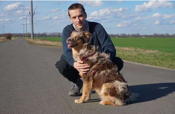 Hundetreffen-Spiel und kleines Training für die Hunde-Bild