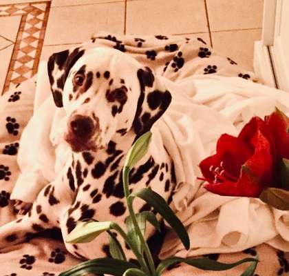 Zeigt eure Portraits-Beitrag-Bild