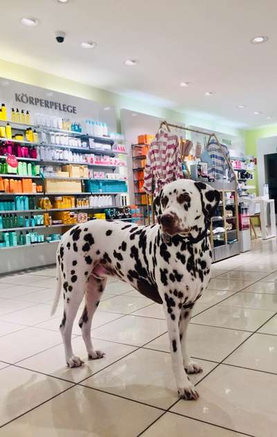 21. Farben / Foto Challenge - Neon / Leuchtfarben-Beitrag-Bild