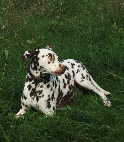 20. Handy -Foto-Callenge-Beitrag-Bild