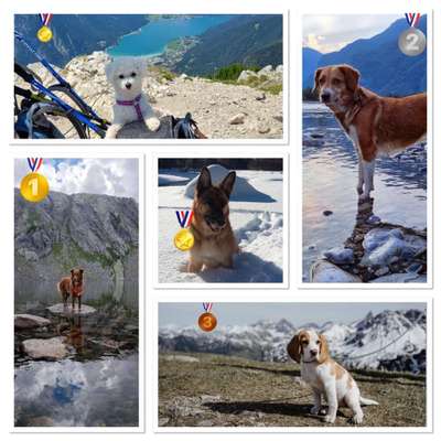 Fotochallenge Nr 107-Beitrag-Bild