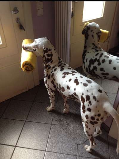 Fotochallenge Nr. 64-Beitrag-Bild