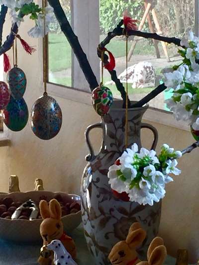 154. FotoChallenge * AUFS BILD GEMOGELT *-Beitrag-Bild